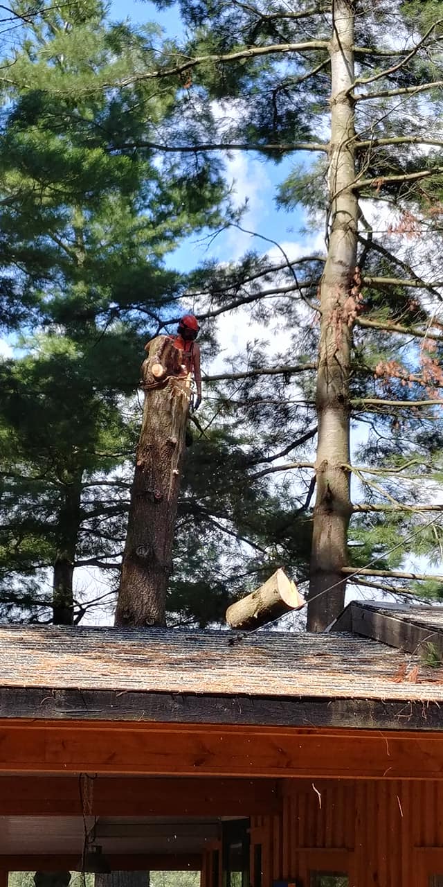 Un homme coupe un arbre avec une tronçonneuse sur le toit d'une maison.