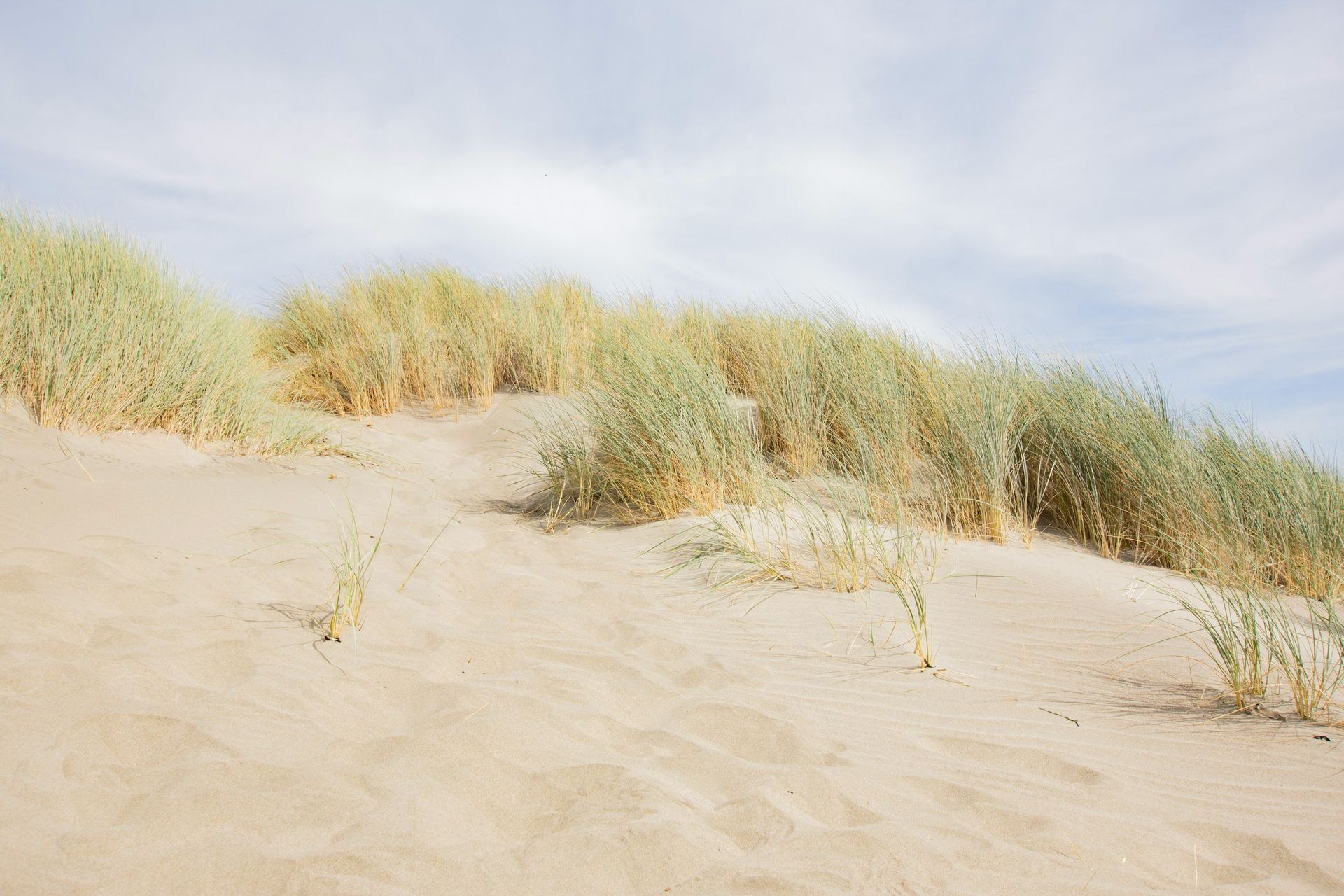 Sandy dunes with tall beach grass under a bright, cloudy sky