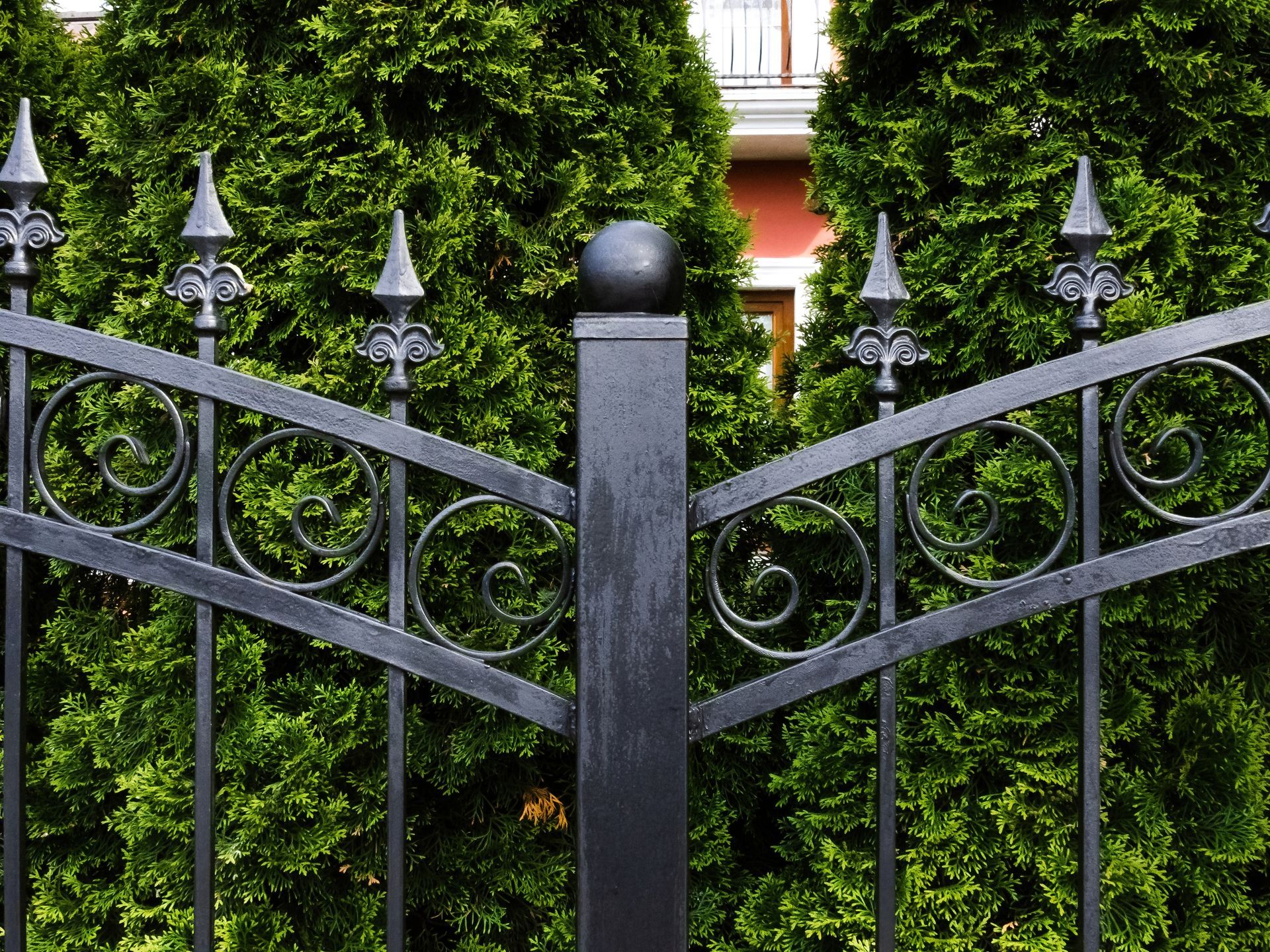 Black metal decorative gate with ornate scrollwork and finials against green foliage.