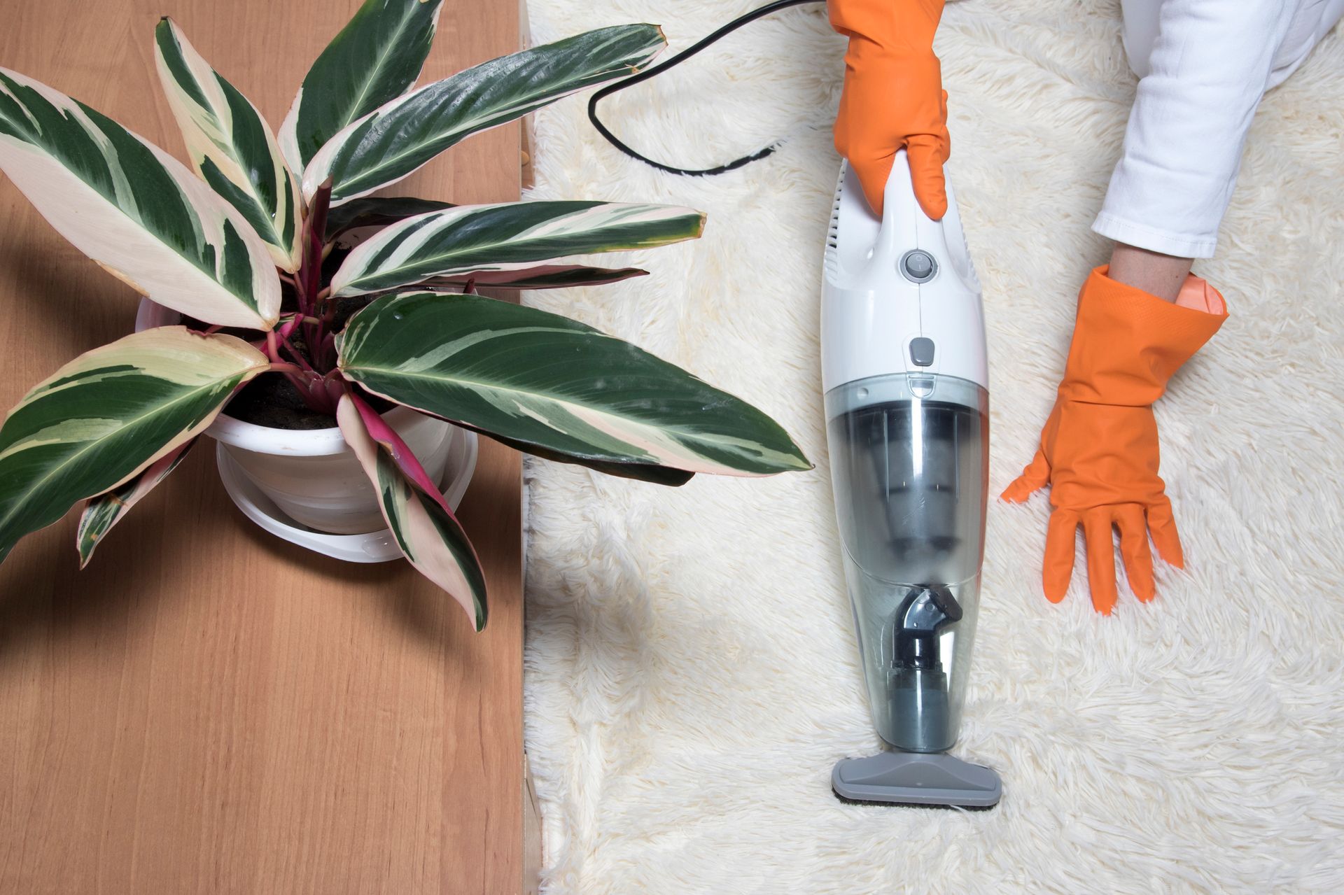 A Person Wearing Orange Gloves Is Using A Vacuum Cleaner To Clean A Rug — Cheyenne, WY — Top Mop C.