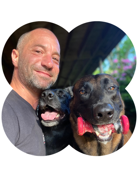 brian viola, best dog trainer in long island ny, lola dogs