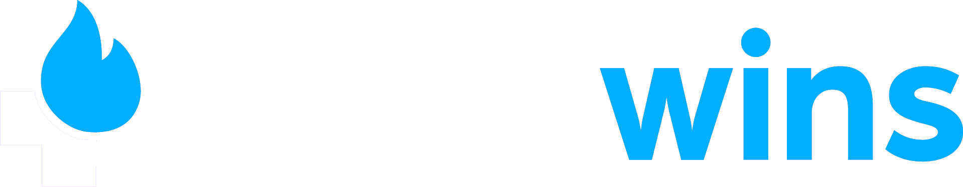 Daily wins logo in white and blue