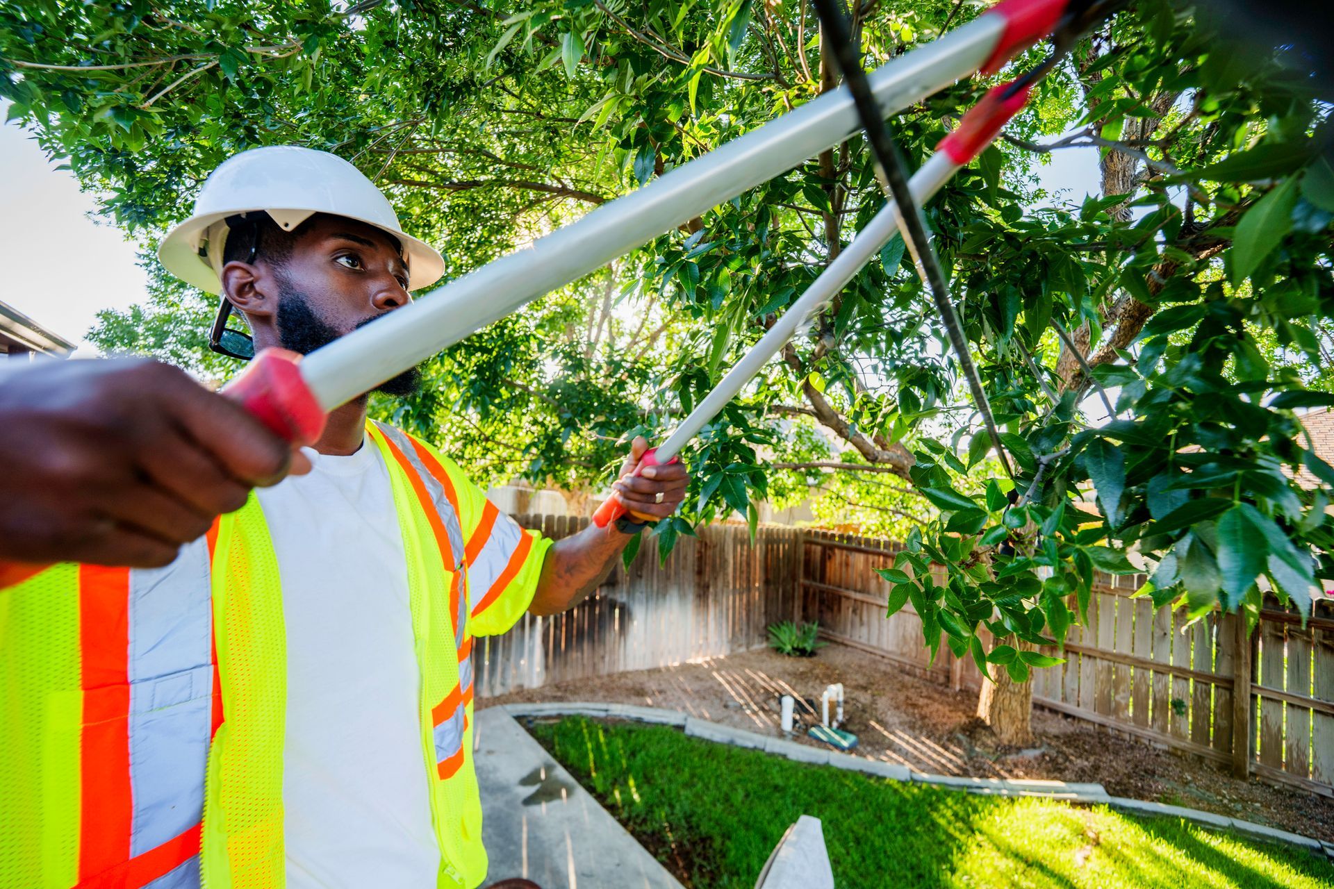 A worker in safety gear using a pole saw to trim tree branches in a residential backyard