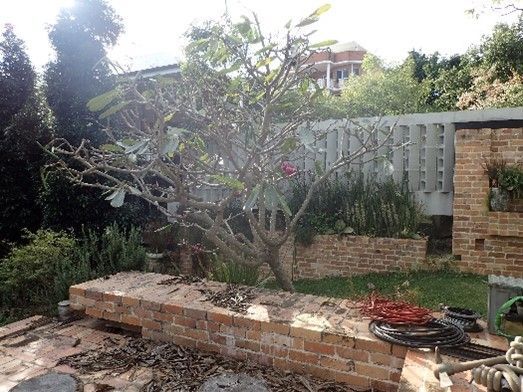 A brick wall in a garden with a tree in the background.