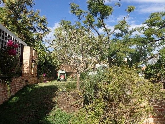 A lush green garden with trees and bushes in front of a house.