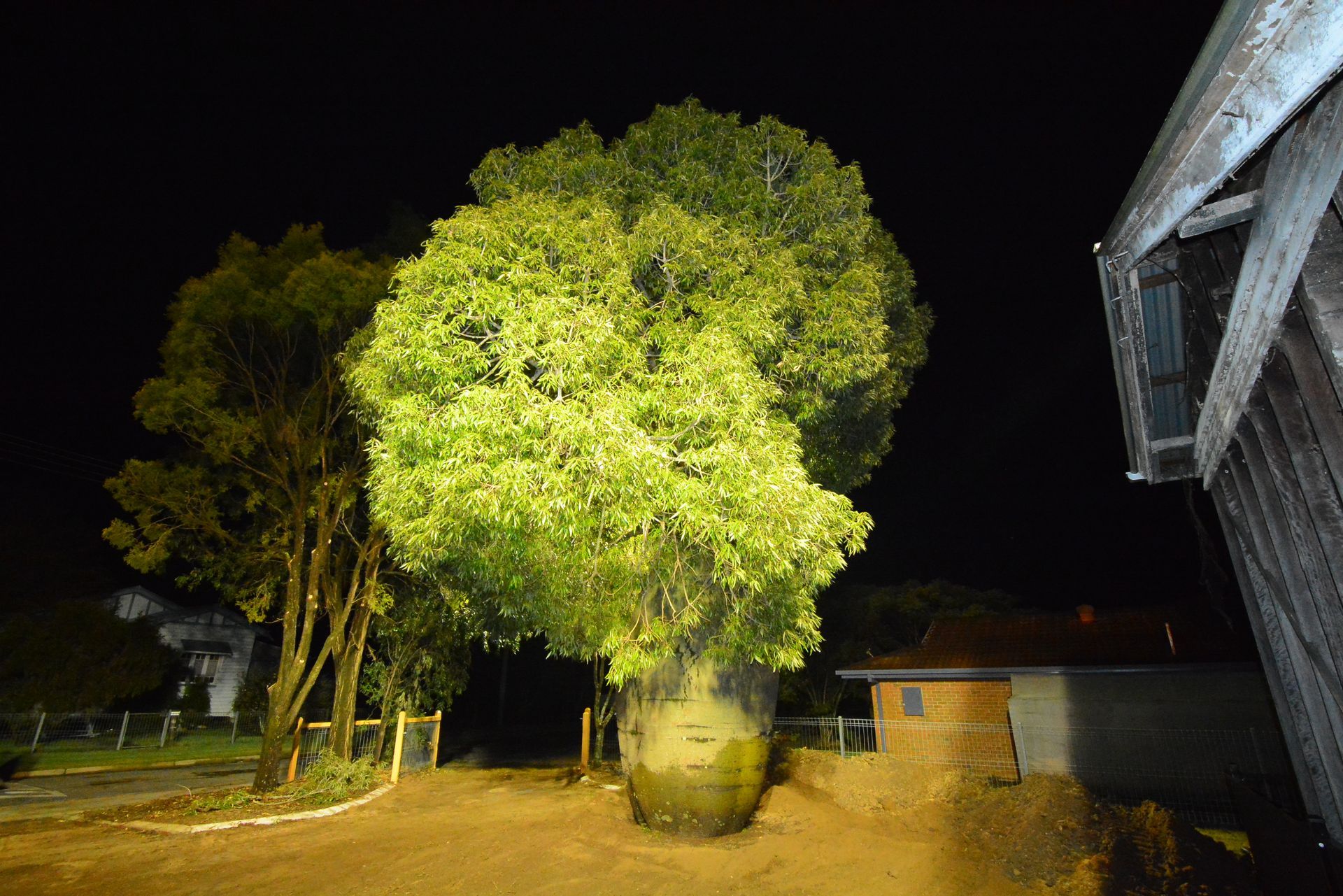 A large tree is lit up at night in front of a building.