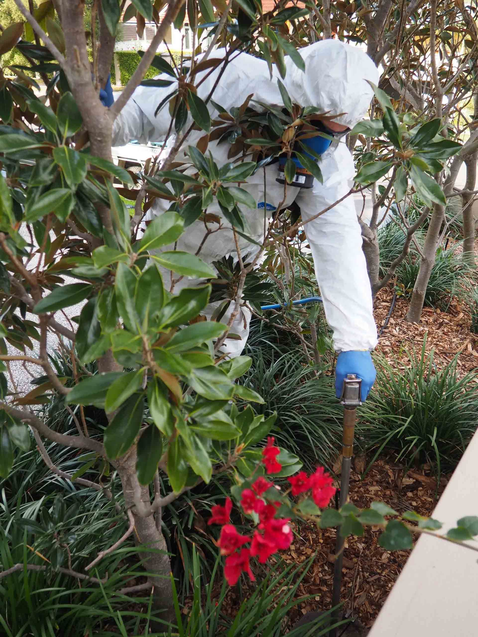 Soil injection process | Brisbane, QLD | The Tree Doctor