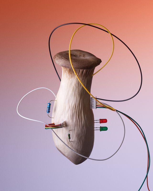 Mushroom with attached wires, LEDs, and electronic components against an orange and purple gradient background. Food Stylist Nadine Page.