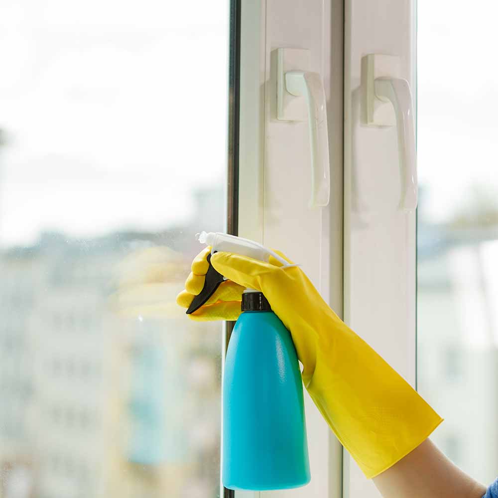 Window Cleaning Services Mildura