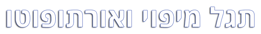 תגל מיפוי ואורתופוטו