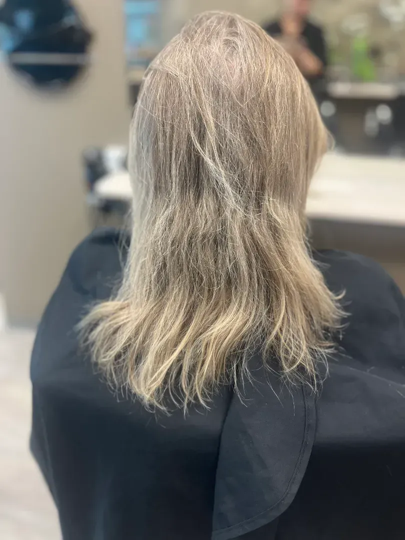 Woman's hair, light brown and dry, sits in a salon chair. A hairstylist in the background.