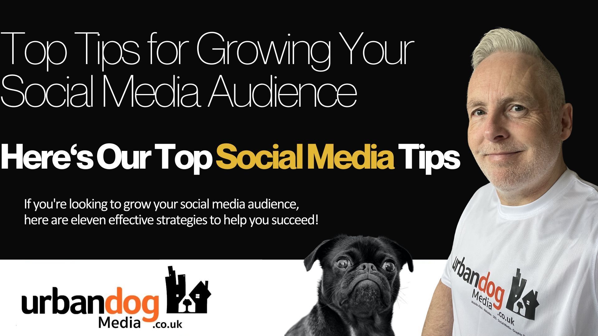 Top Tips for Growing Your Social Media Audience