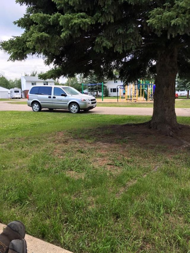 Silver SUV parked under a large tree in a grassy park area near a playground.