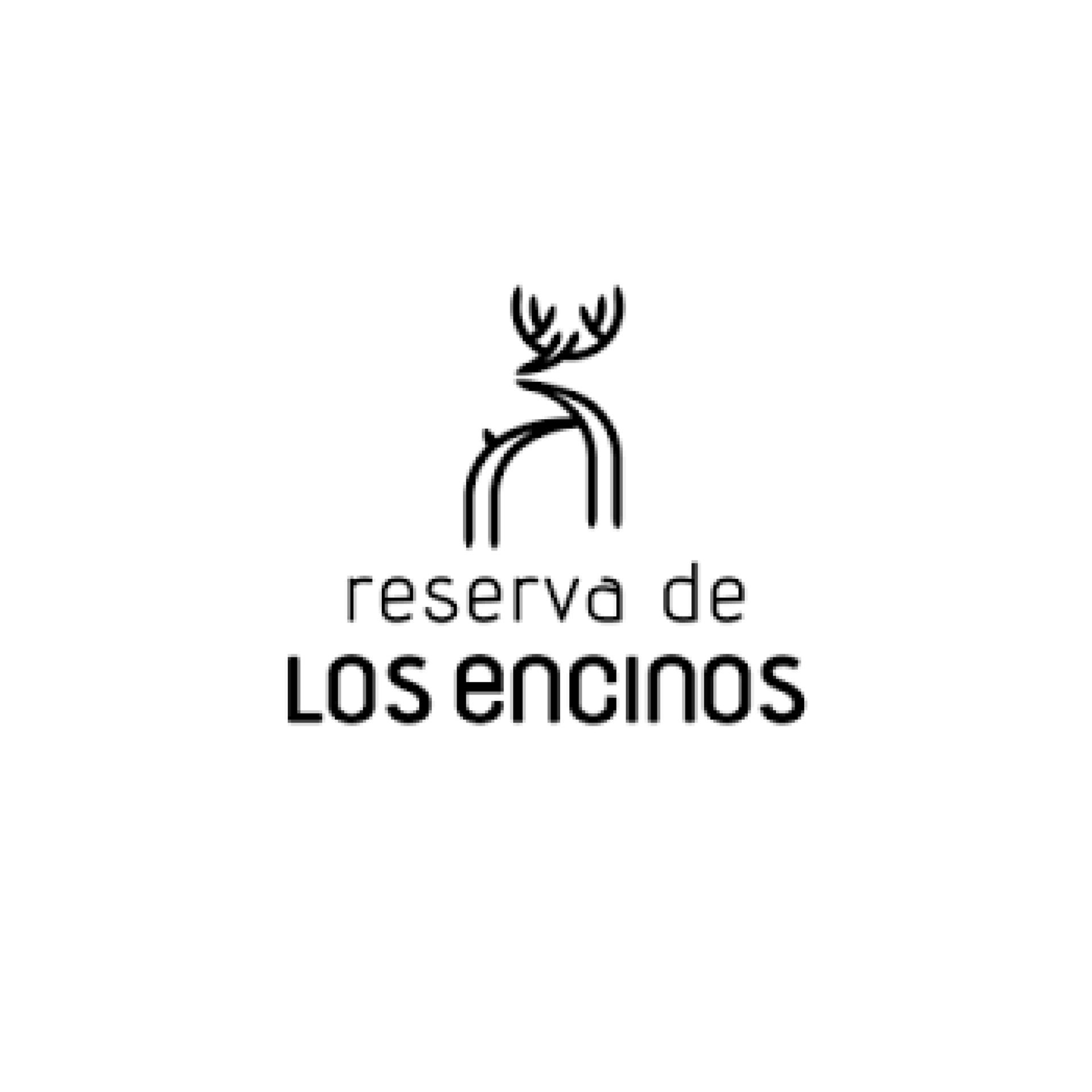 WORKSHOP TALLER INTELIGENCIA ARTIFICIA RESERVA ENCINOS