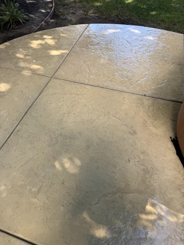 Circular, light-colored concrete patio with visible seam lines. Shadows of foliage are cast upon the surface.