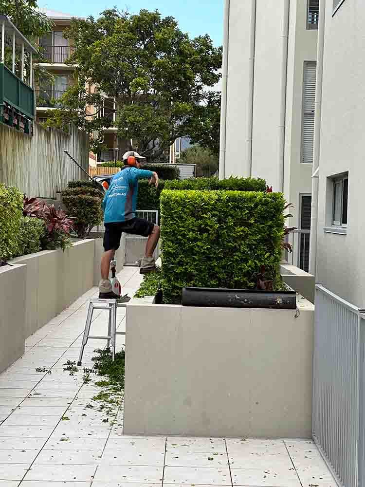 A Man Carefully Trimming Plants In A Pristine Garden Setting — Hallsmark Property Services