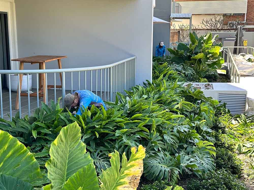 A Worker Cleaning The Front Yard — Hallsmark Property Services