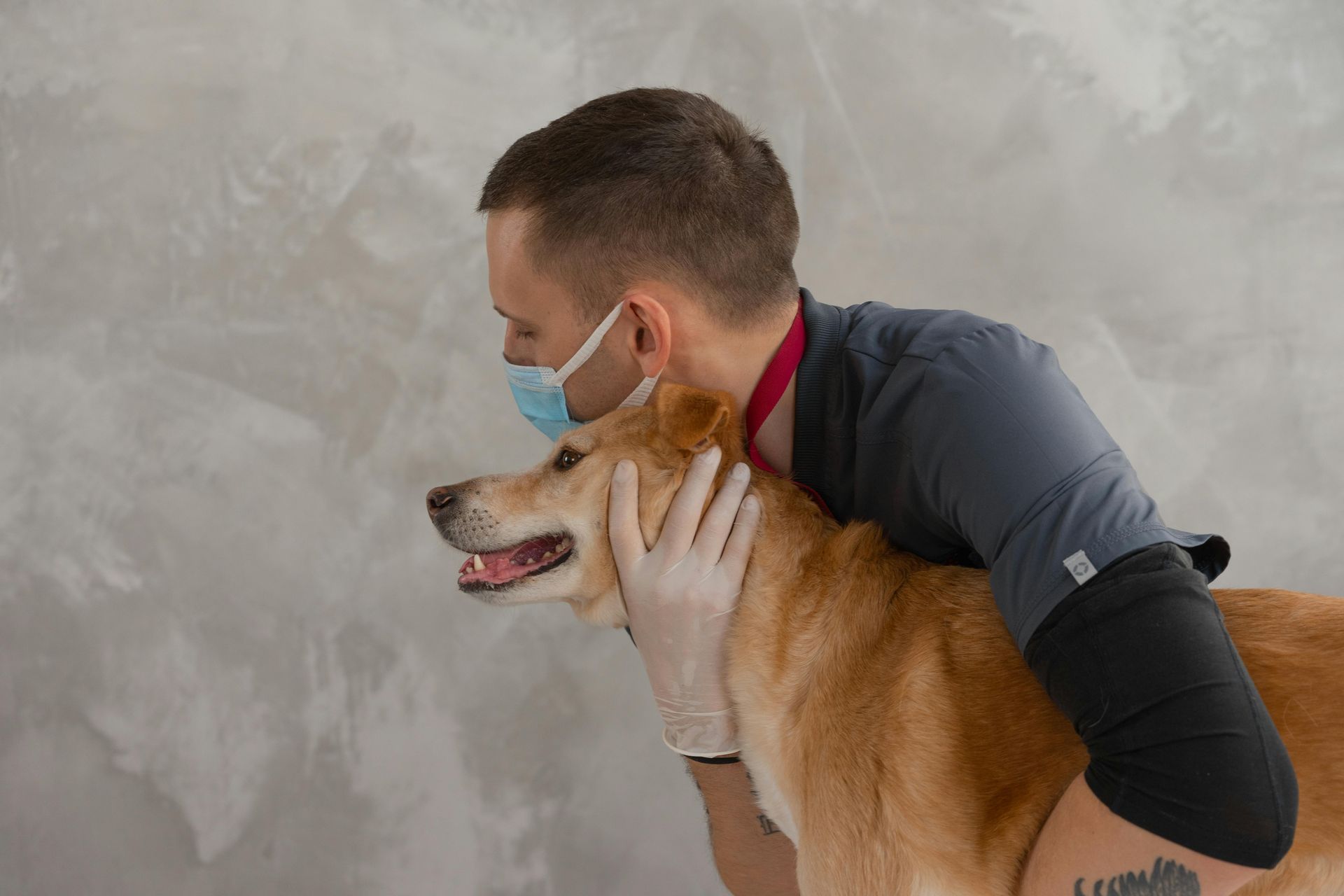 Veterinary technician gently holding a large dog during a wellness exam, ensuring comfort and care before donation