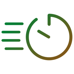 Rapidità del servizio