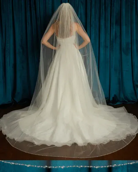 The back of a bride wearing a wedding dress and veil