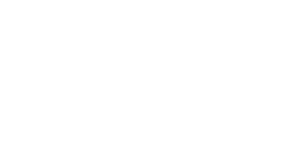 A white background with a few lines on it