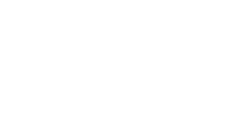 A white background with a few lines on it