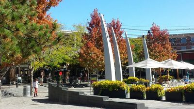 Lakewood, Colorado web design