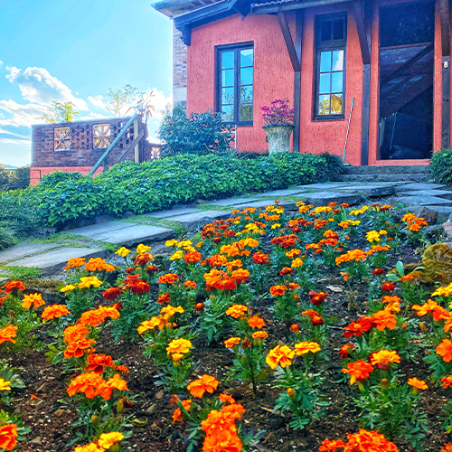 Uma casa com muitas flores na frente