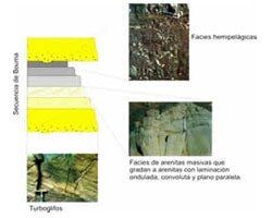 Hidrología Geología Ambiental S.A.S - Inspecciones de campo
