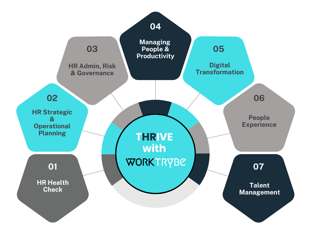 A diagram showing the nature of hr audit