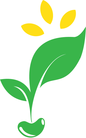 A green leaf with yellow leaves is growing out of a seed.