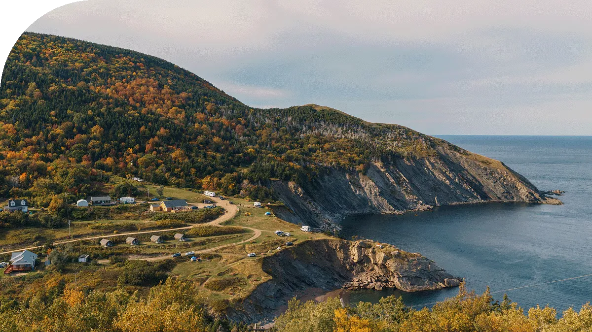 Coastal landscape with cliffs, ocean, and forested hills. Brown and green trees.