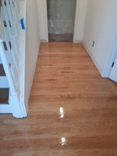 Hallway with newly refinished hardwood floors, reflecting light. White walls and doorframes.