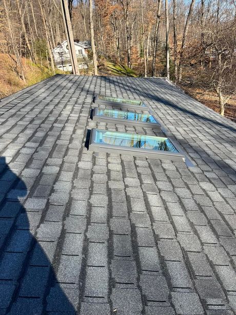 Gray shingled roof with three rectangular skylights. Exterior view with trees in the background.