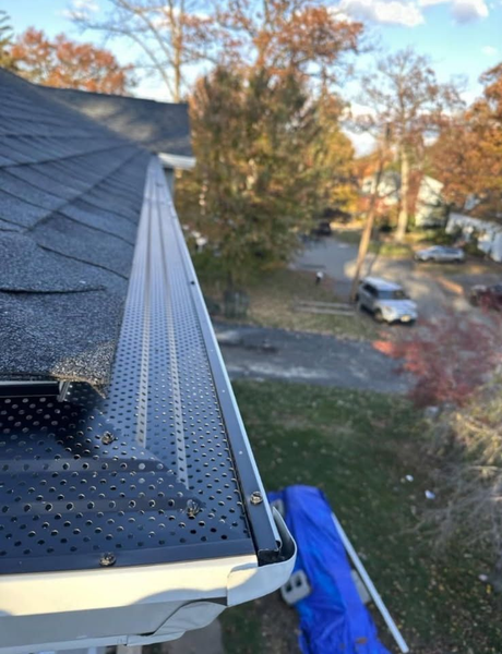 Black gutter with mesh guard on a house roof, outside in autumn.