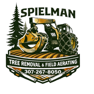 Spielman Excavation ND