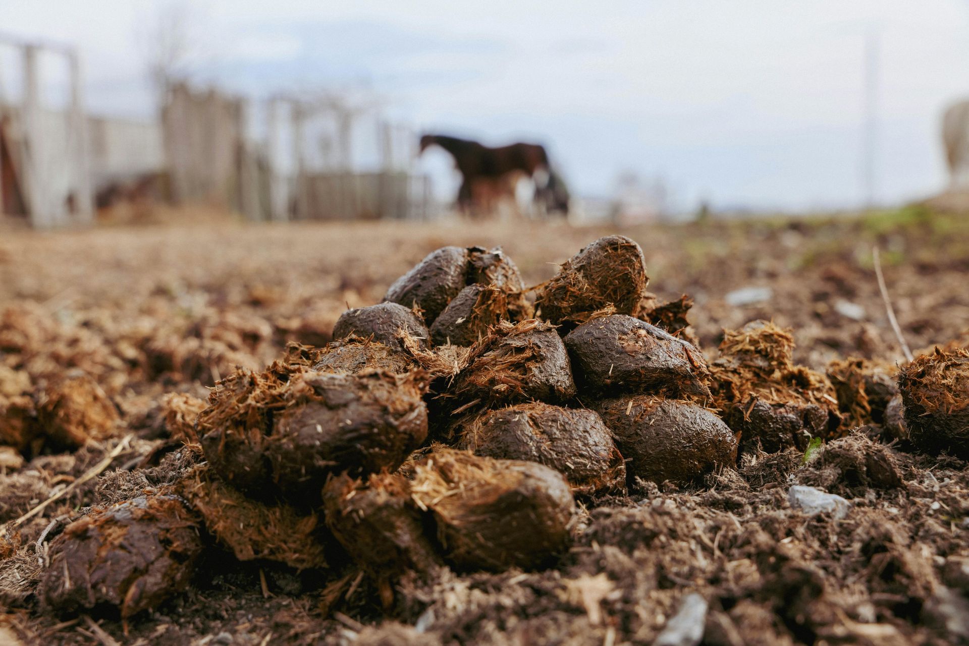 manure spreading in North Dakota