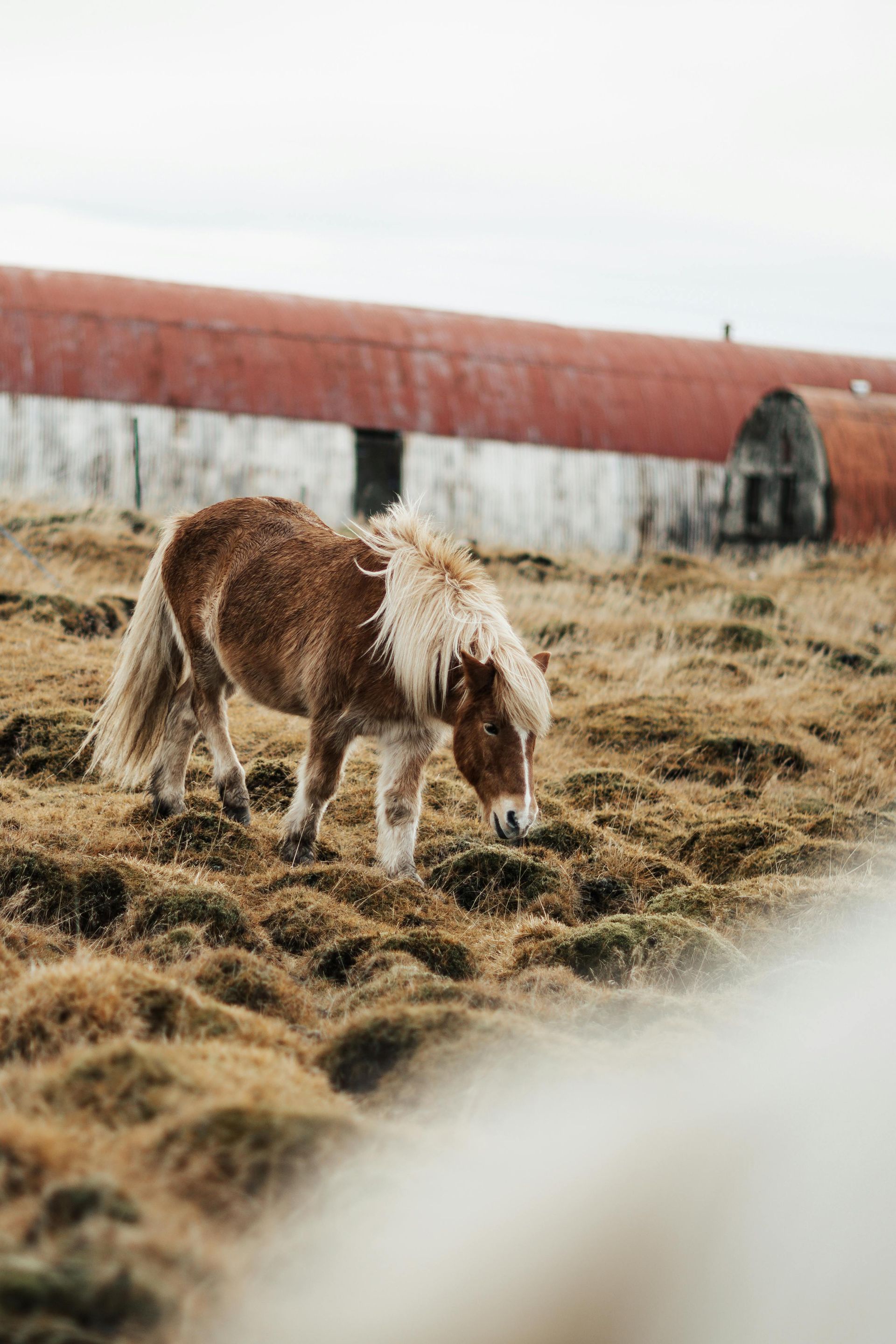 Corral Cleaning Service North Dakota