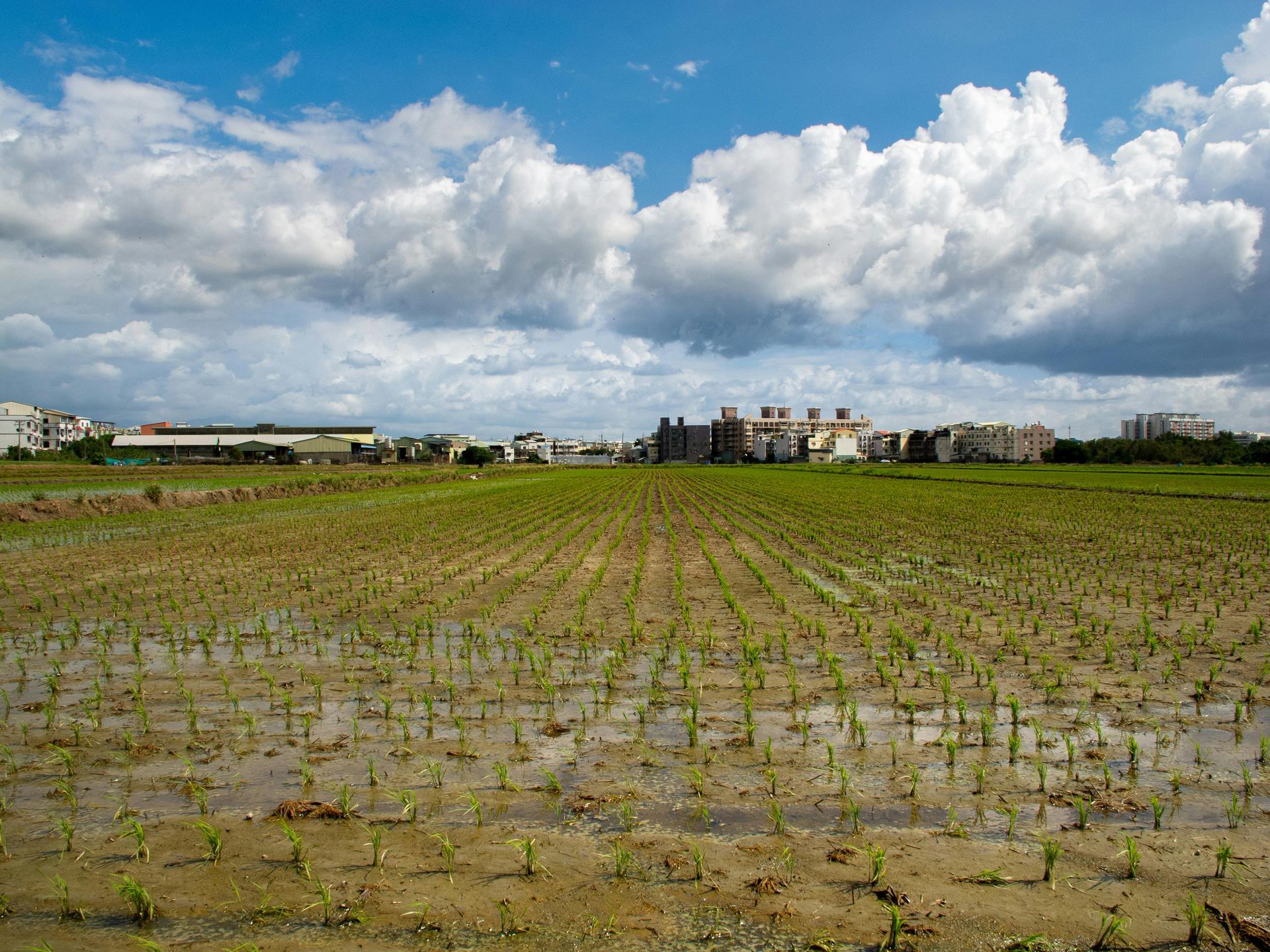 Custom Aerating North Dakota