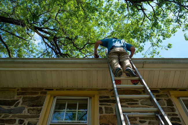 An owl is perched on a gutter on the roof of a house.
