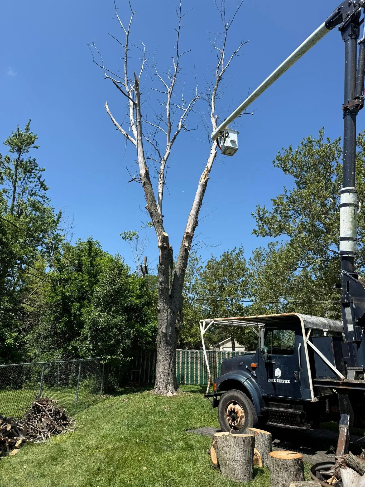 A man is cutting a tree branch with a chainsaw.