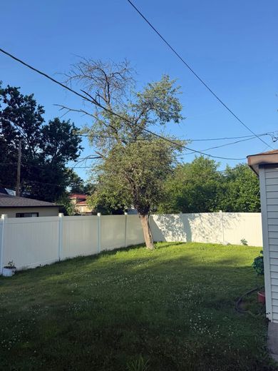 A man is cutting a tree with a chainsaw.