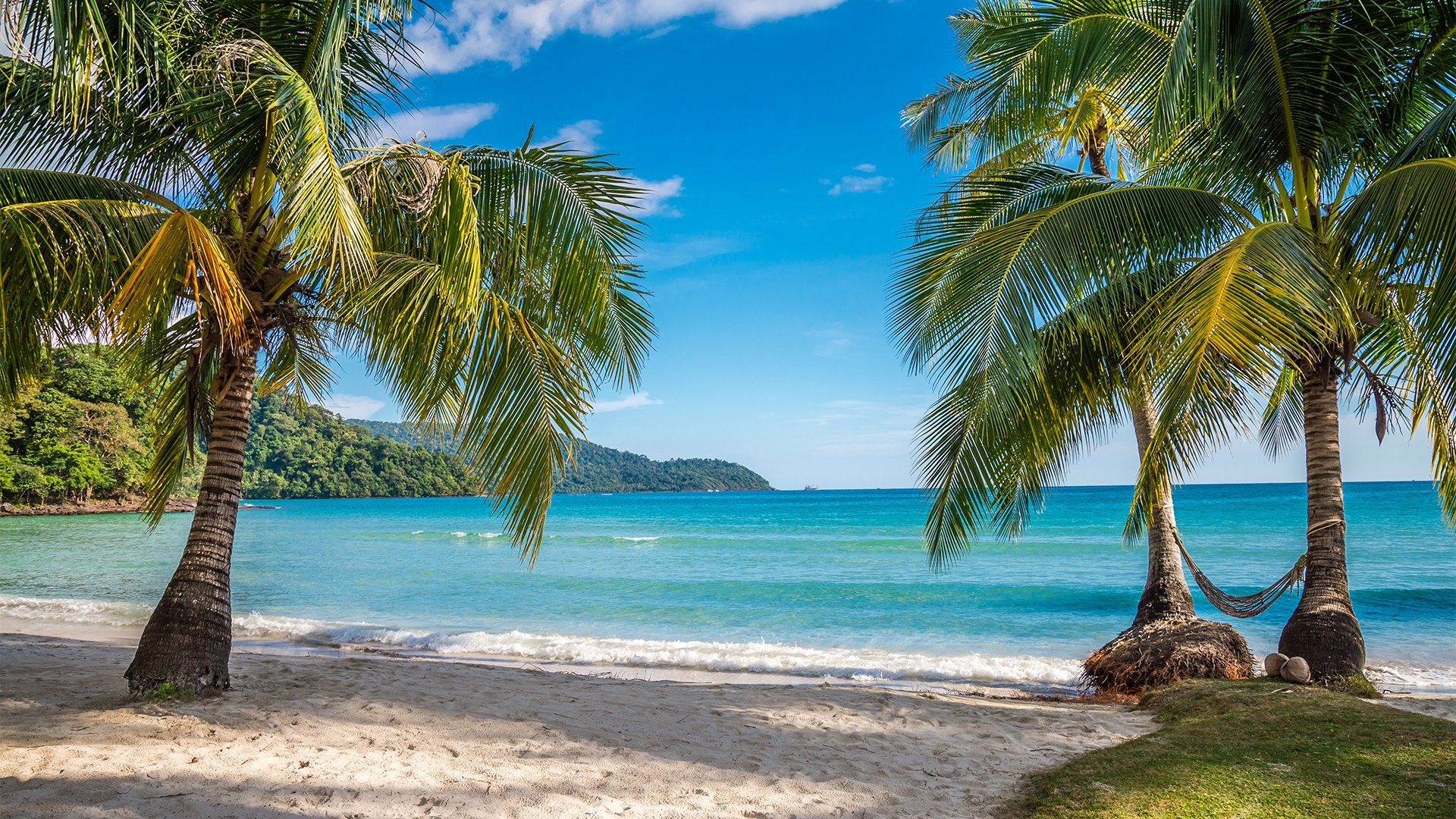 scenic tropical beach