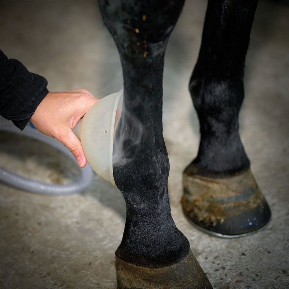 Energetic Horse Nano CellCare therapie Energetic Horse Nano CellCare therapie