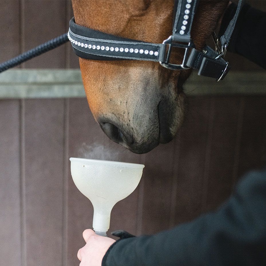 Energetic Horse Nano CellCare therapie Energetic Horse Nano CellCare therapie