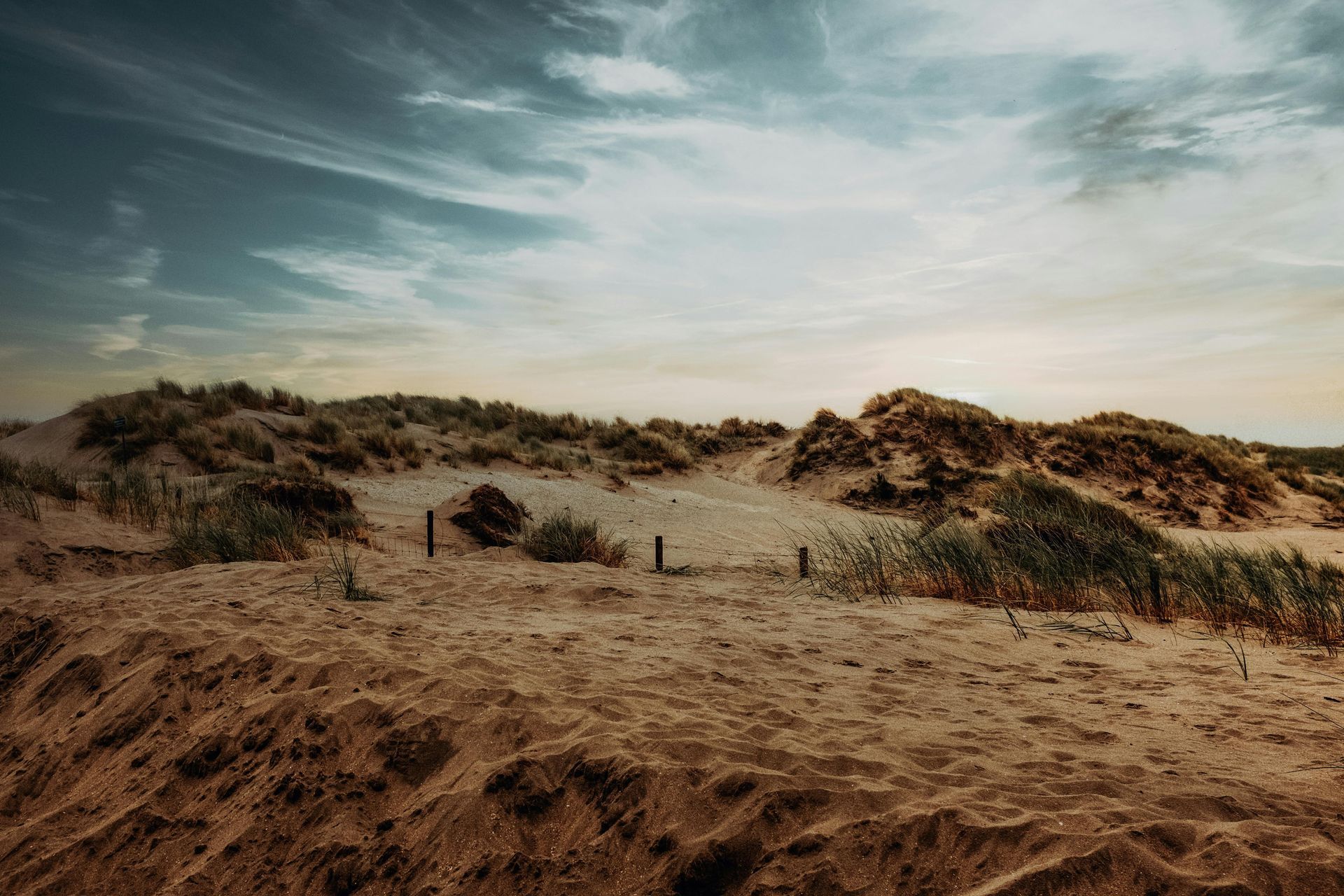Zandduinen met schaarse vegetatie onder een bewolkte hemel.