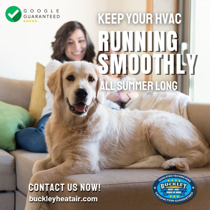 A woman sits on a couch next to a dog that says 