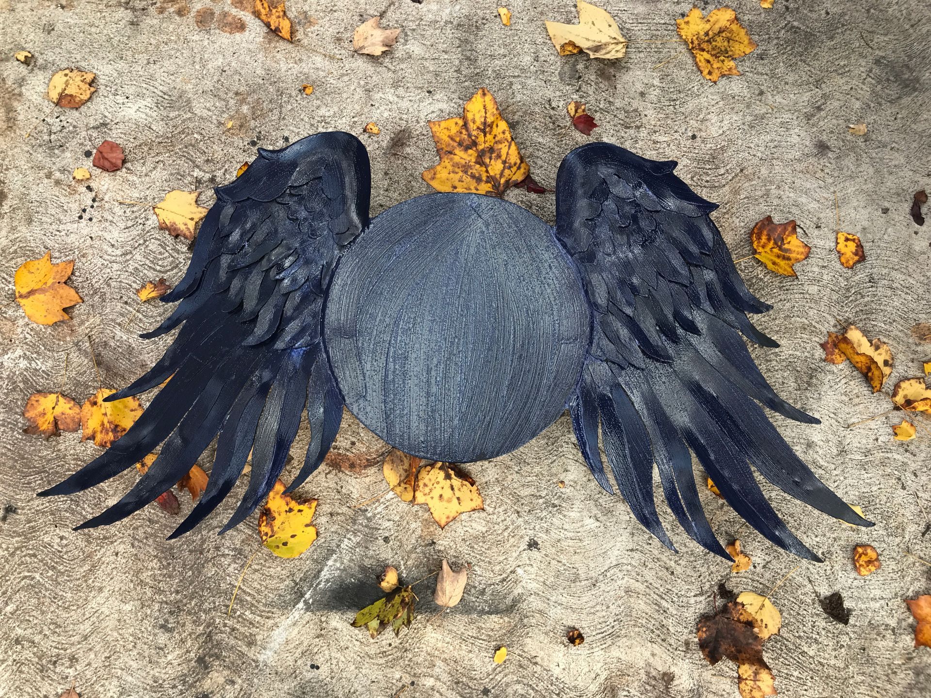 A rock with wings on it is sitting on the ground surrounded by leaves.