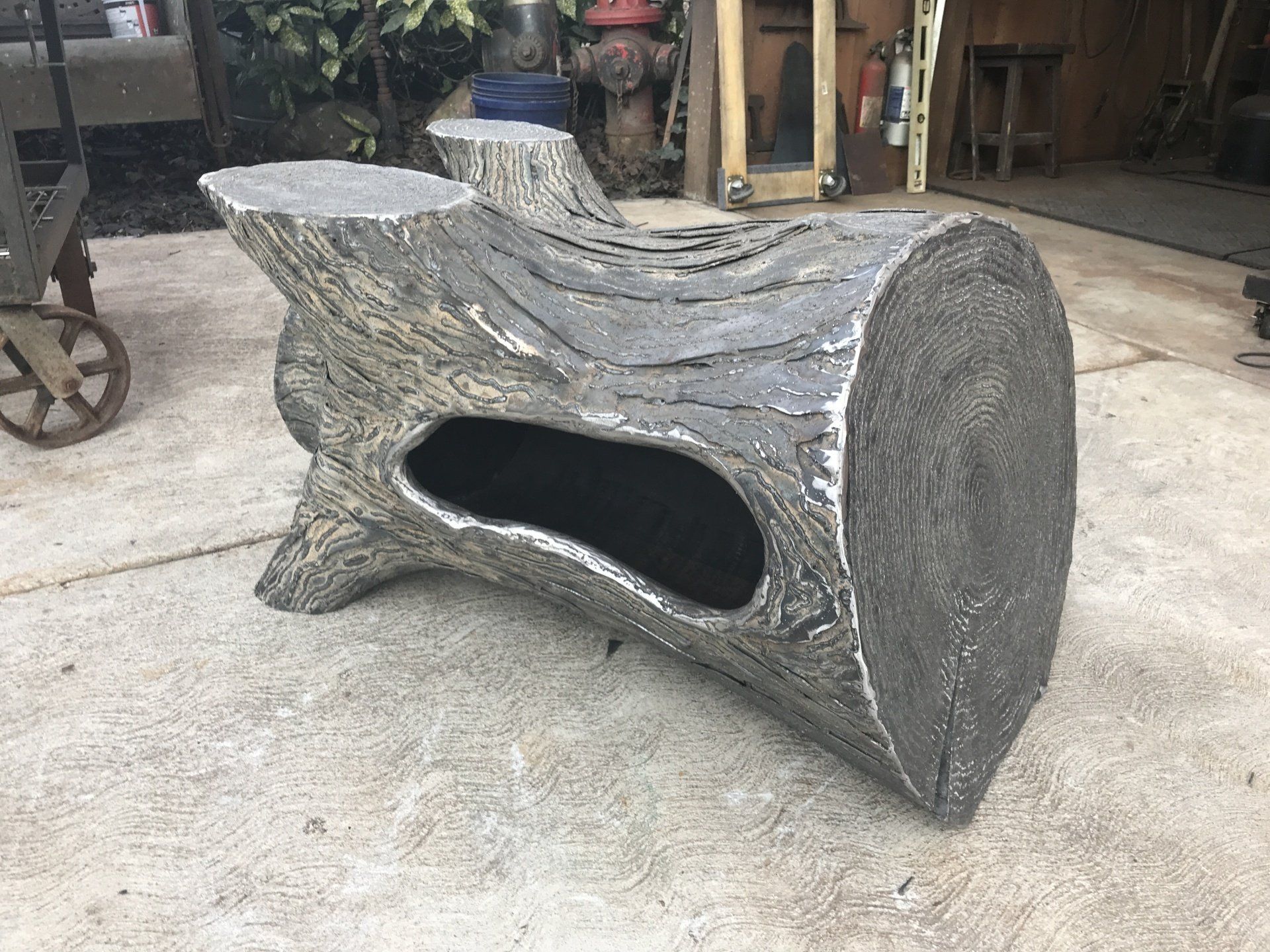 A log with a hole in the middle is sitting on the ground.