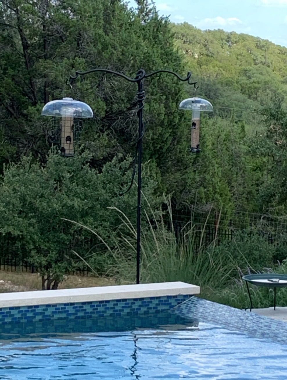 A swimming pool with a bird feeder on the side of it.